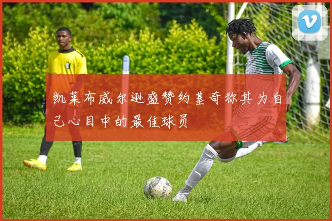 凯莱布威尔逊盛赞约基奇称其为自己心目中的最佳球员