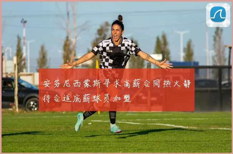 安芬尼西蒙斯寻求高薪合同热火静待合适底薪球员加盟